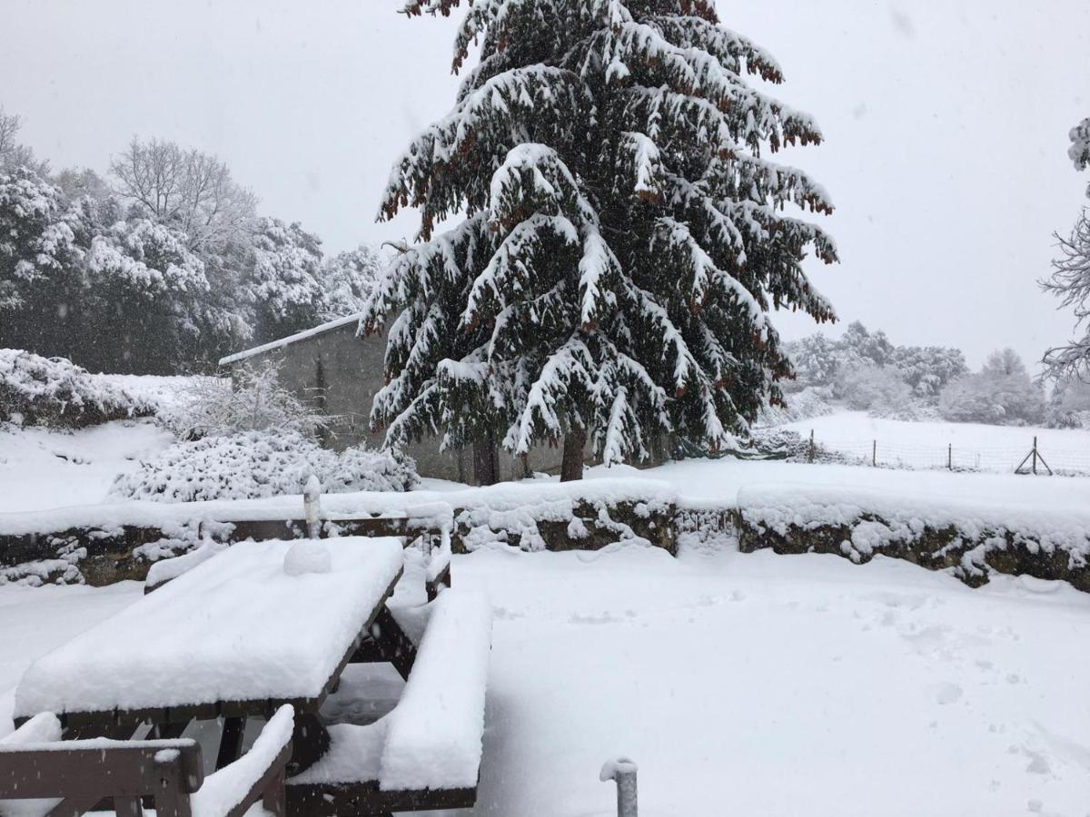 Can Janot Villa Olot Buitenkant foto